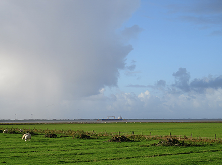 Ferienwohnung mieten Nordsee